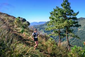 BIB: 
                            <button type="button" onclick="openModal(26599199)" class="btn btn-primary btn-sm float-right btn-popup" data-toggle="modal" data-target=".modal-high-quality">
                        <i class="fas fa-shopping-cart"></i> Add to Cart
                    </button>
                                            <button type="button" onclick="isThisMe(26599199, true)" class="btn btn-success btn-sm float-right btn-popup btn-isme hidden" data-toggle="tooltip" data-placement="bottom" title="นี่คือรูปของคุณใช่ไหม คลิกที่นี่เพื่อเอาเข้าอัลบั้ม">
                        <i class="fas fa-plus"></i> Add to album
                    </button>
                    <button type="button" onclick="isThisMe(26599199, false)" class="btn btn-warning btn-sm float-right btn-popup btn-isnotme hidden">
                        <i class="fas fa-ban"></i> Remove from album
                    </button>